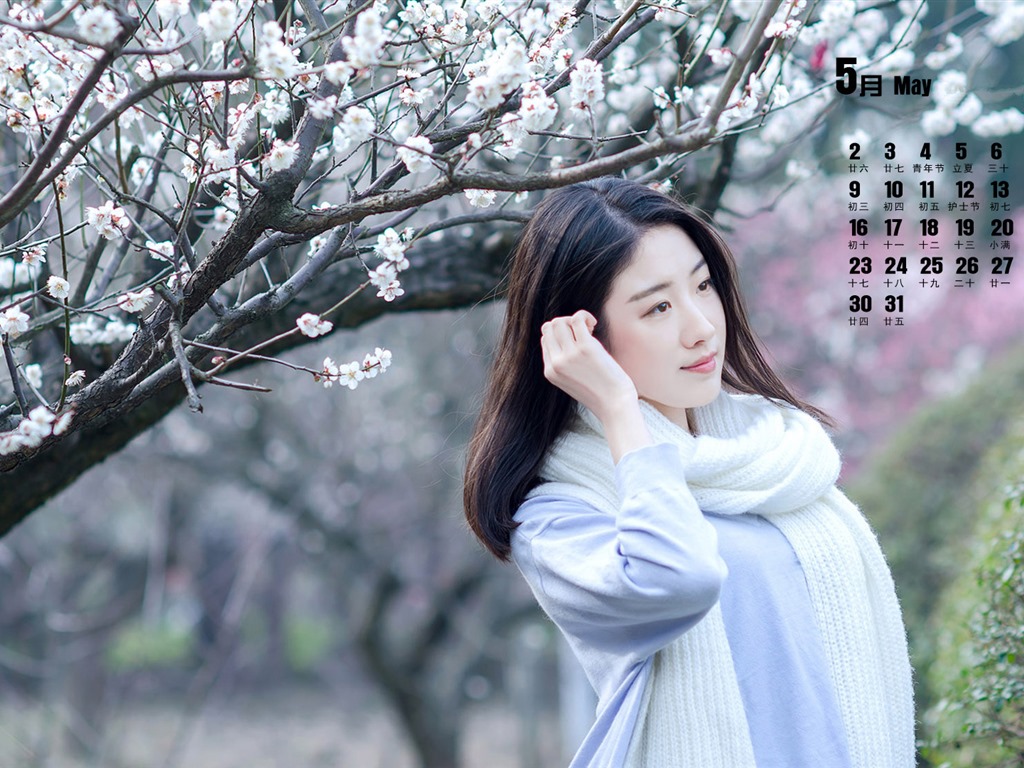 2016年5月 月曆壁紙(一) #2 - 1024x768