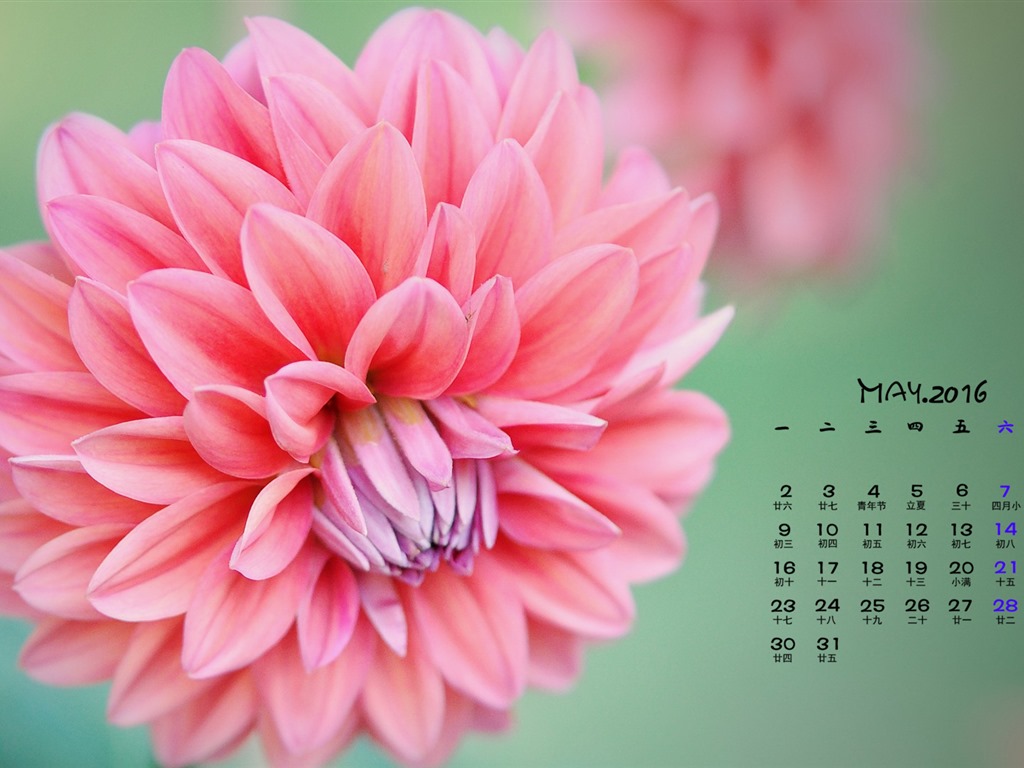 2016年5月 月曆壁紙(一) #11 - 1024x768