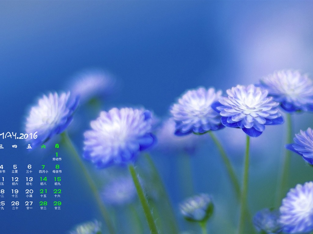 2016年5月 月曆壁紙(一) #14 - 1024x768