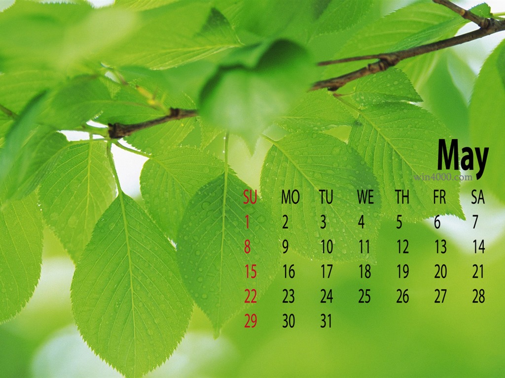 2016年5月 月曆壁紙(一) #19 - 1024x768