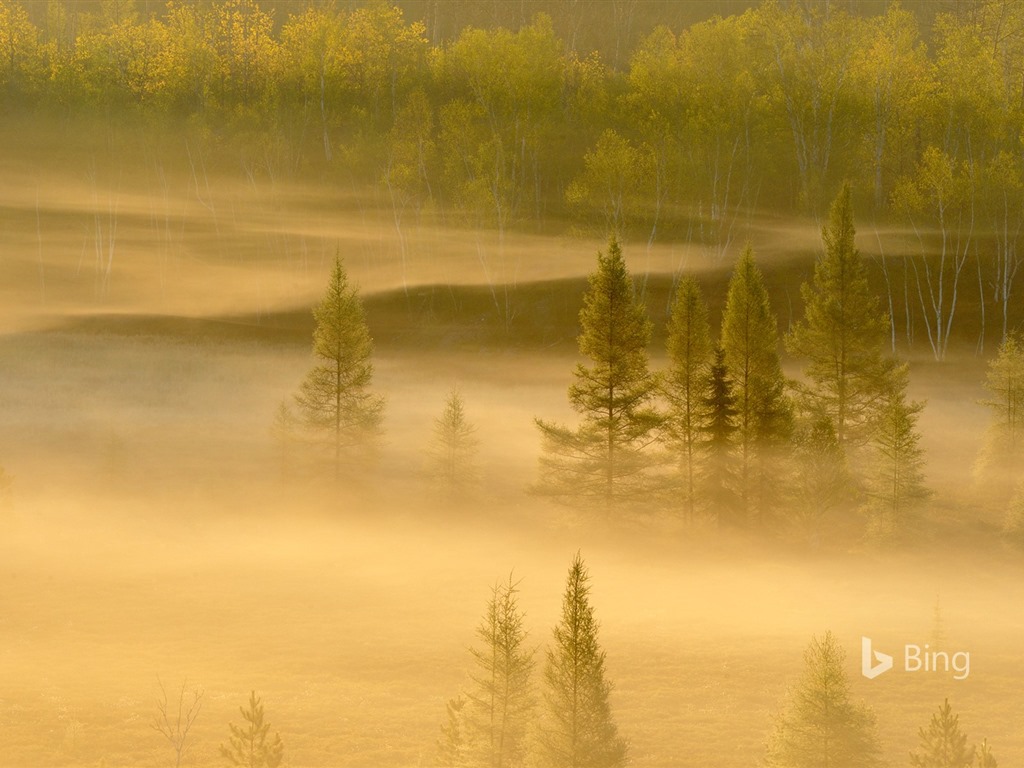 Avril 2016 fonds d'écran Bing thème HD #14 - 1024x768