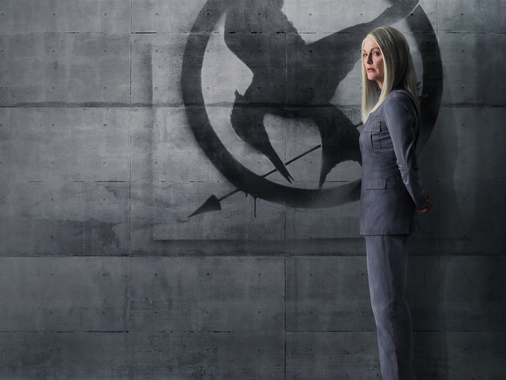 The Hunger Games: Mockingjay HD wallpapers #24 - 1024x768