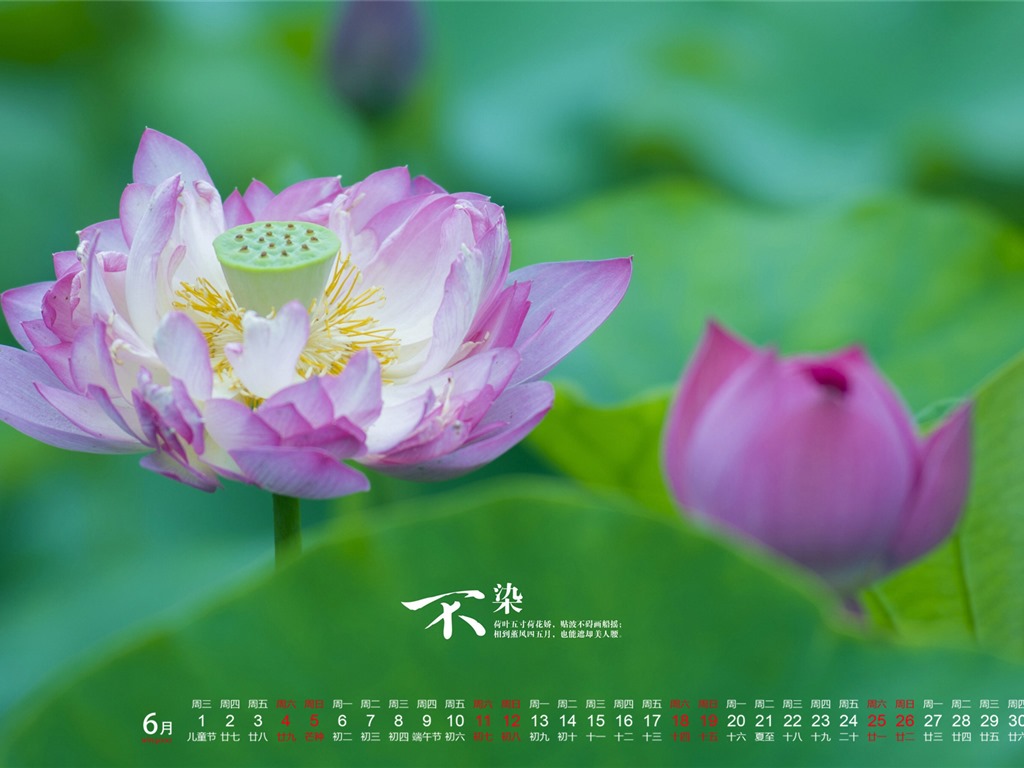 De junio de el año 2016 fondo de pantalla de calendario (1) #10 - 1024x768