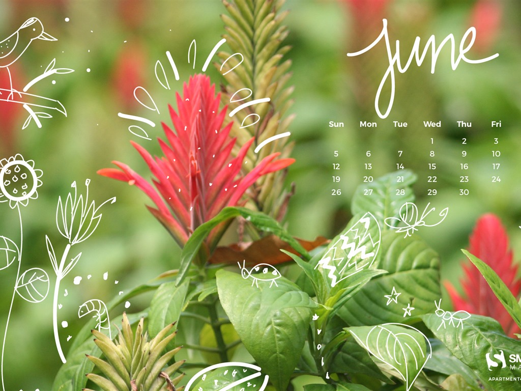 Juni 2016 Kalender Wallpaper (2) #4 - 1024x768