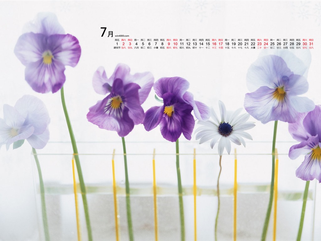 2016年7月 月曆壁紙(一) #10 - 1024x768