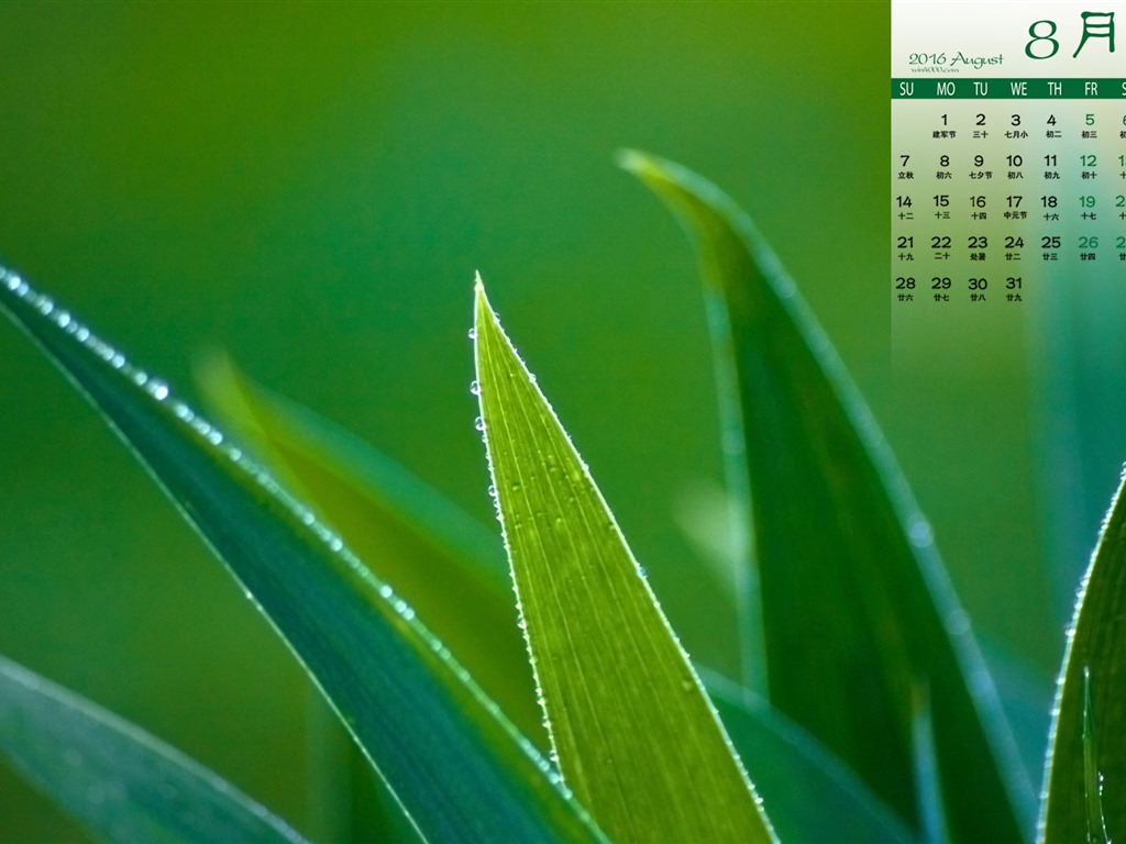 De agosto de el año 2016 fondo de pantalla de calendario (1) #12 - 1024x768