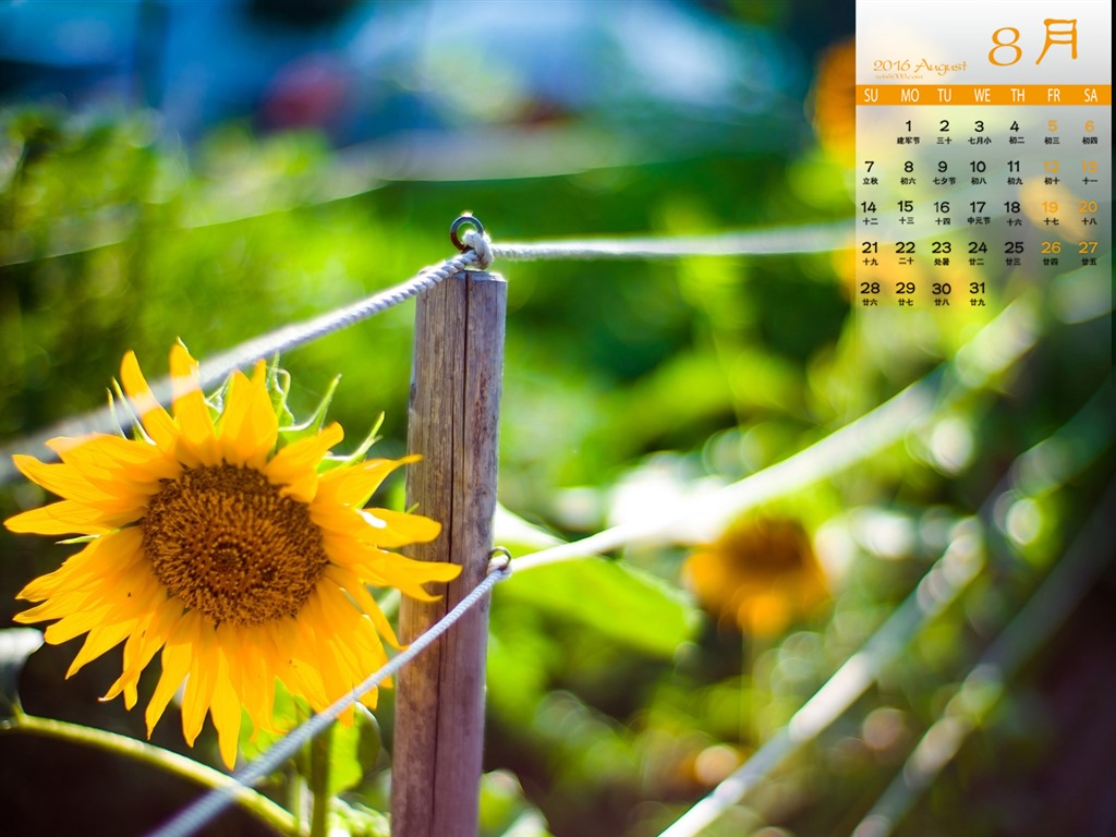 De agosto de el año 2016 fondo de pantalla de calendario (1) #13 - 1024x768