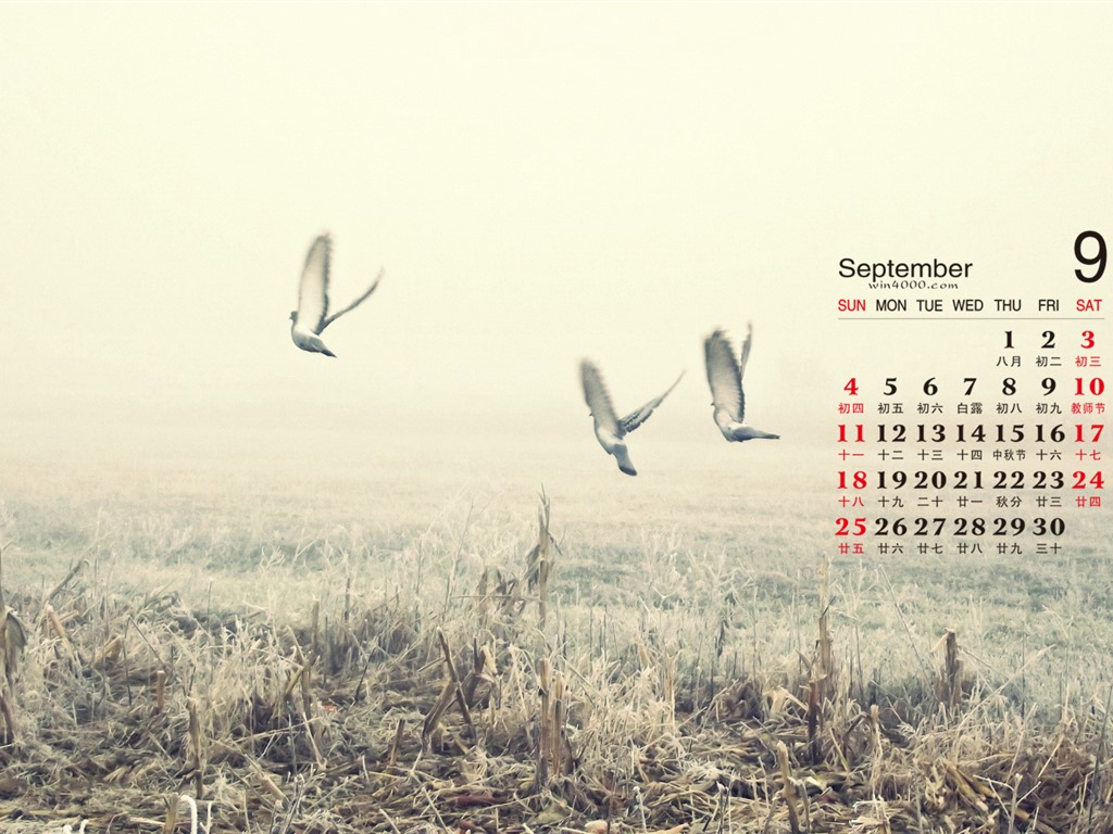 September 2016 Kalender Wallpaper (2) #6 - 1024x768