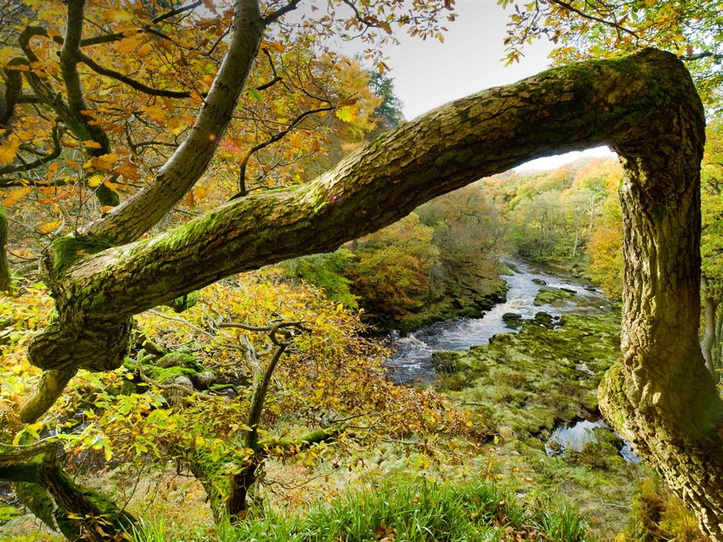 Července 2016 Bing téma HD tapety na plochu (2) #30 - 1024x768