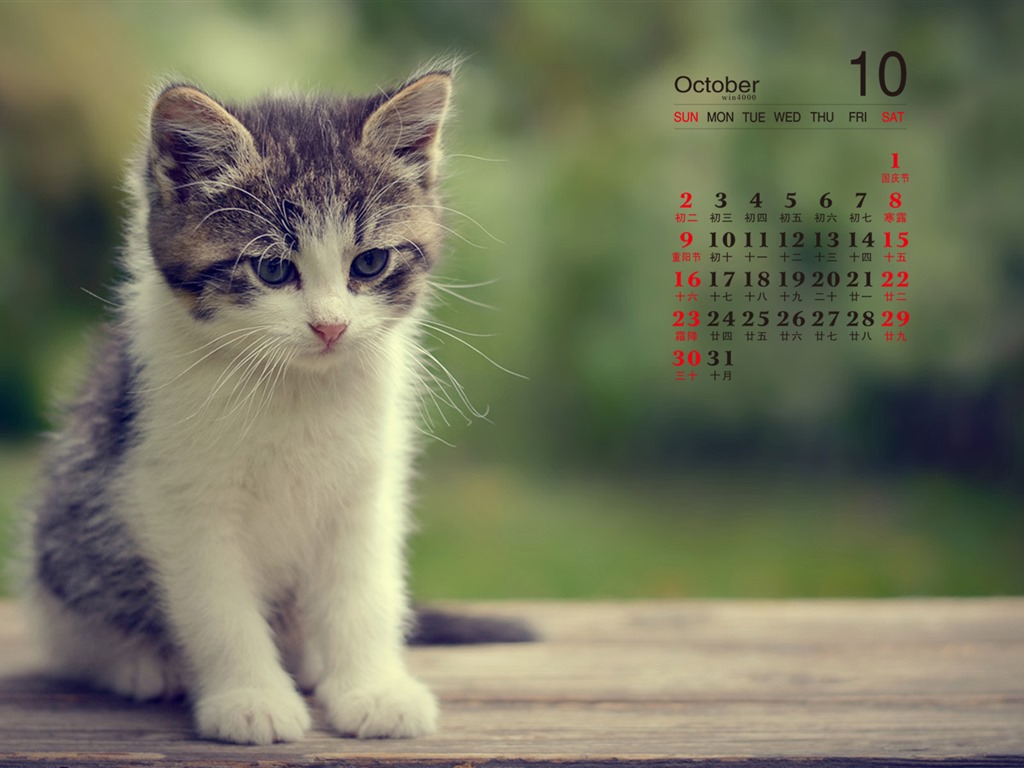 2016年10月 月曆壁紙(一) #8 - 1024x768