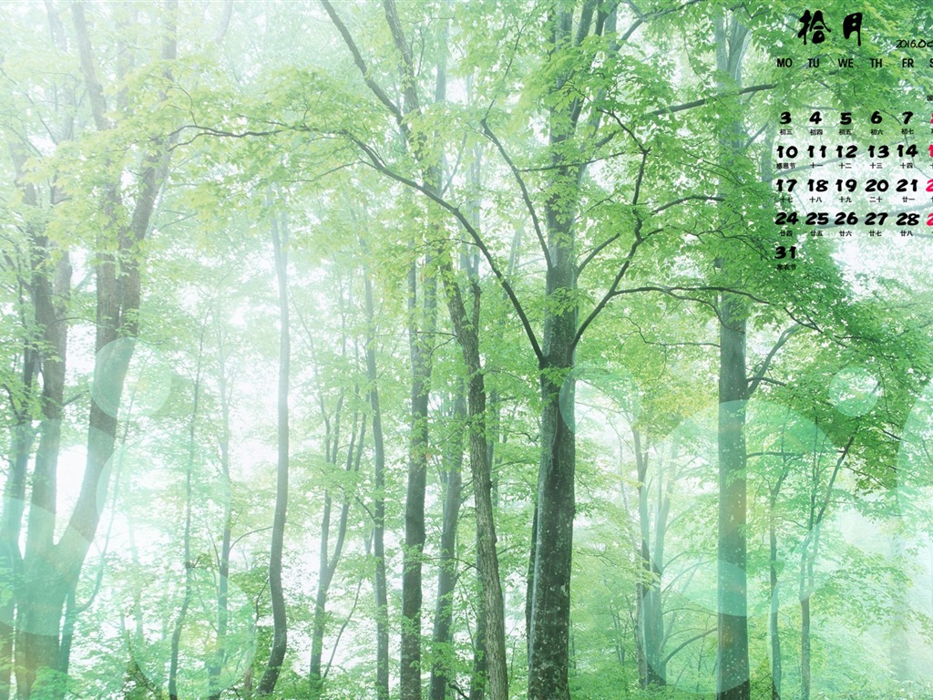 2016年10月 月曆壁紙(一) #20 - 1024x768