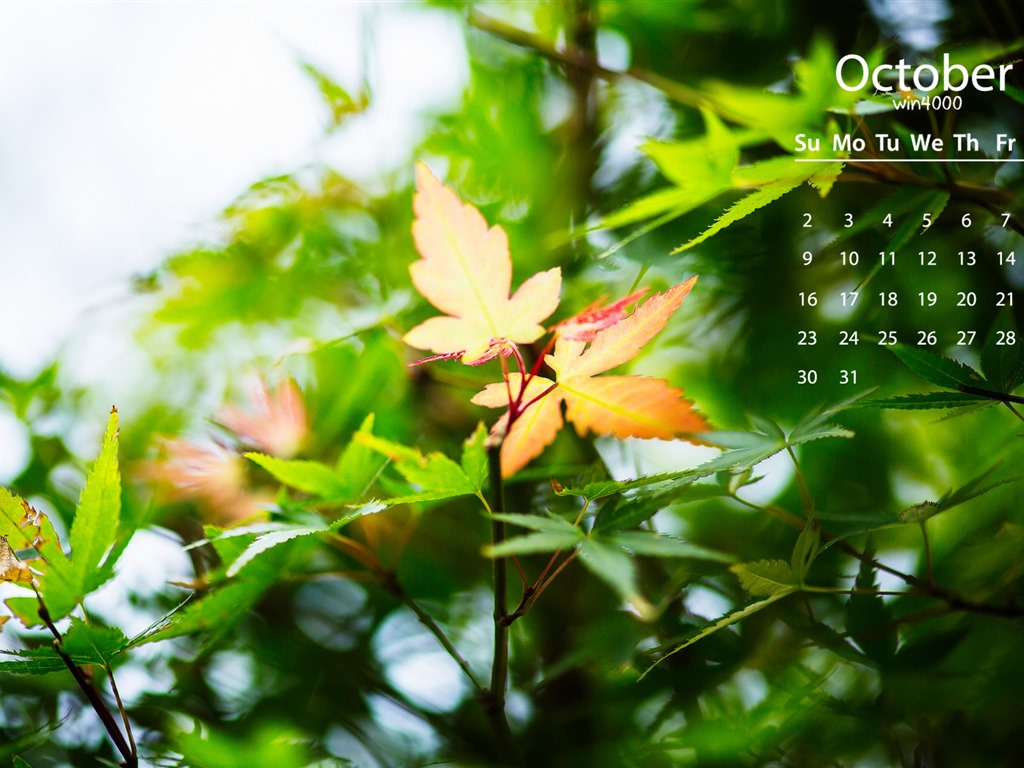 October 2016 calendar wallpaper (2) #4 - 1024x768