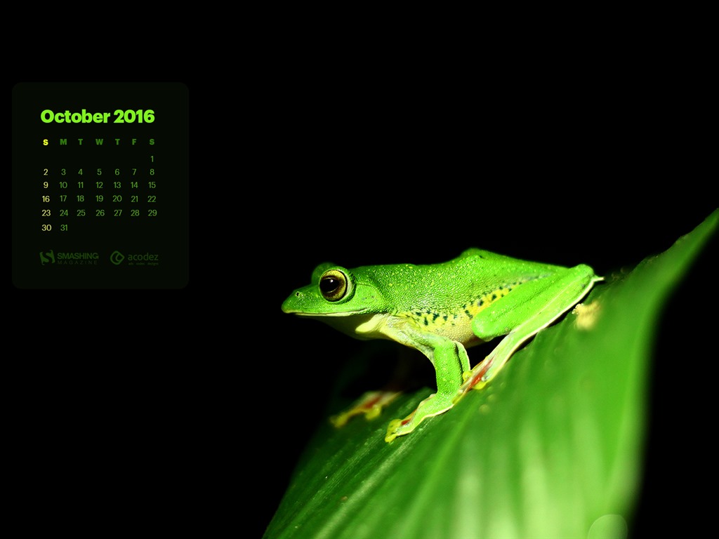 October 2016 calendar wallpaper (2) #12 - 1024x768