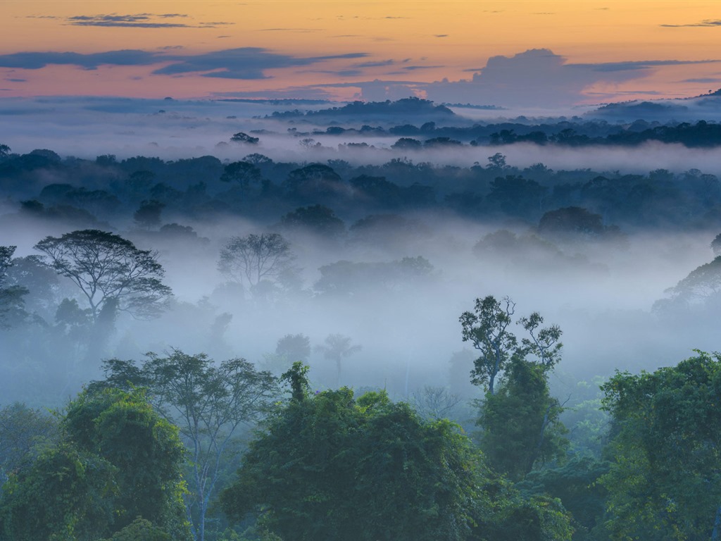 Août 2016 fonds d'écran Bing thème HD (1) #24 - 1024x768