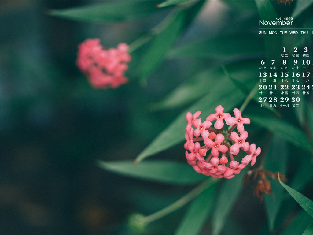 2016年11月 月曆壁紙(一) #2 - 1024x768