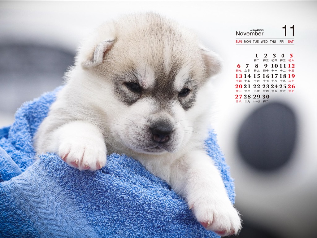 2016年11月 月曆壁紙(一) #13 - 1024x768