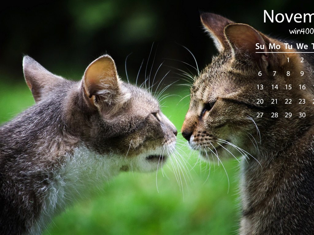 Fondo de escritorio del calendario de noviembre de 2016 (1) #20 - 1024x768