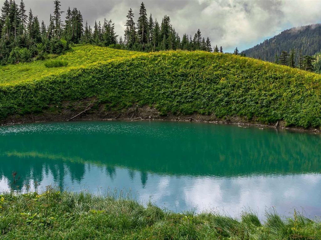 Septiembre de 2016 Bing tema HD fondos de pantalla (1) #14 - 1024x768