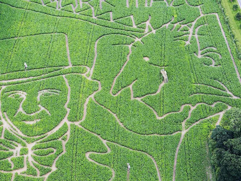 Septembre 2016 Bing thème Fonds d'écran HD (1) #32 - 1024x768