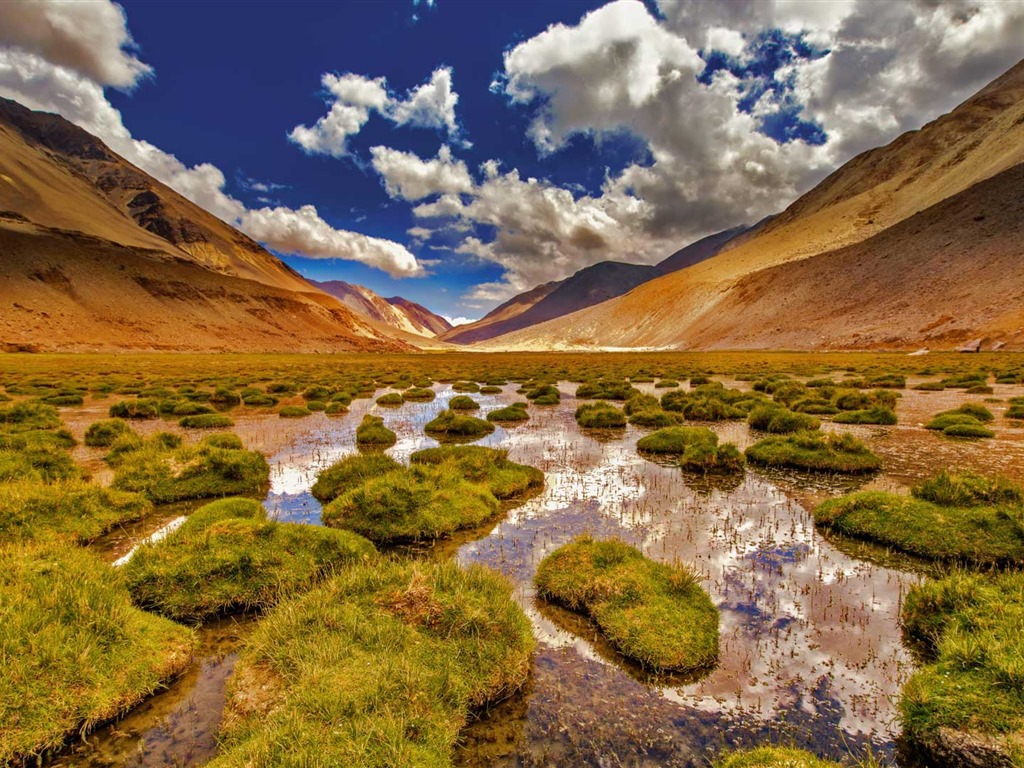 Septembre 2016 Bing thème Fonds d'écran HD (2) #5 - 1024x768