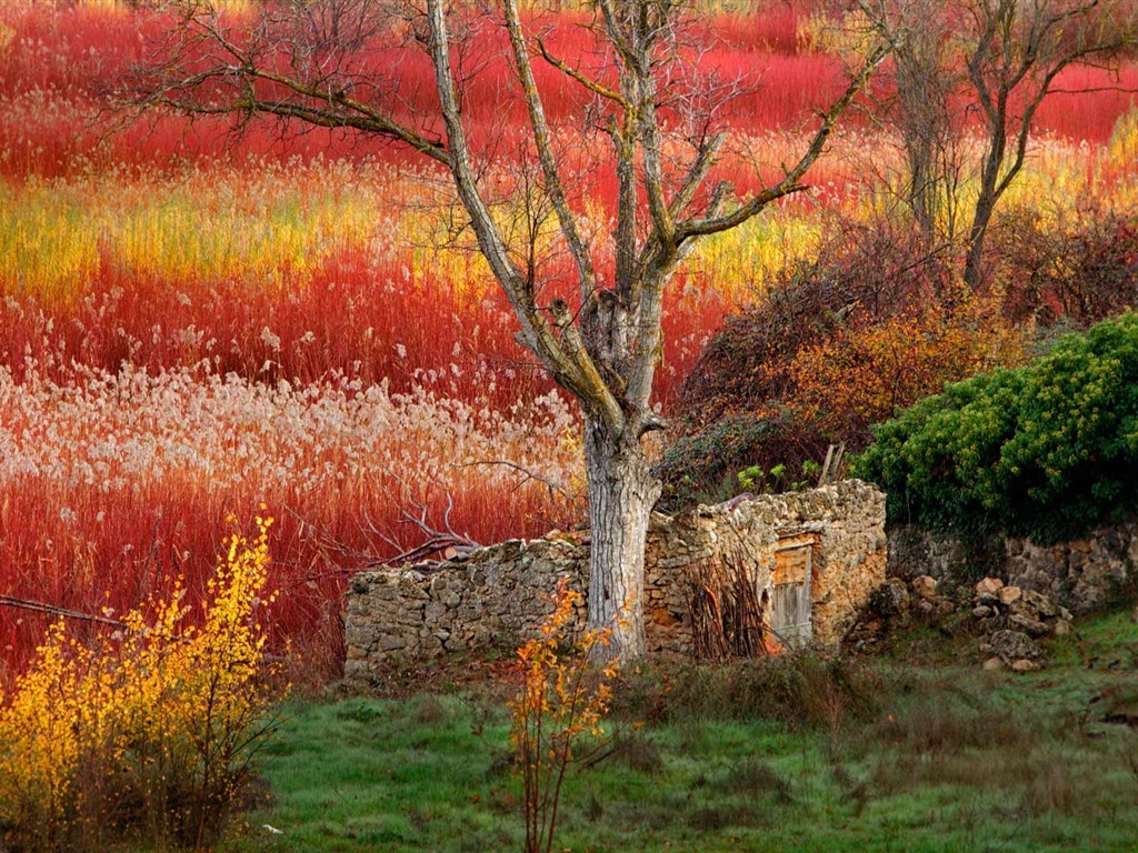 Září 2016 Bing téma HD tapety na plochu (2) #11 - 1024x768