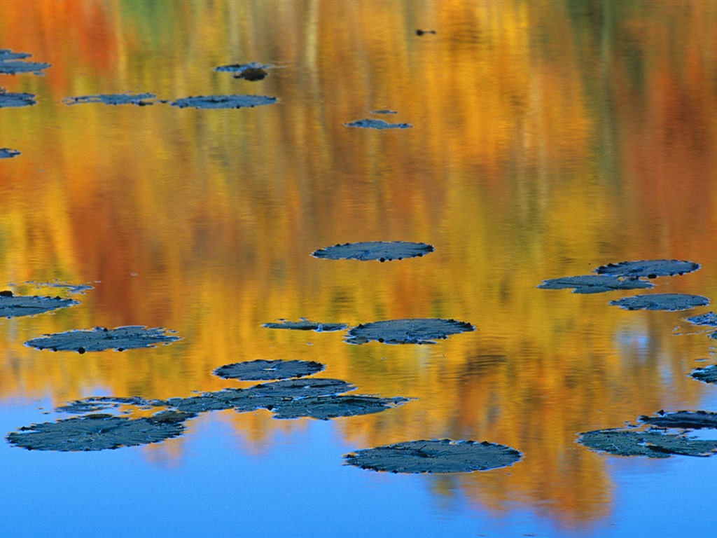 Září 2016 Bing téma HD tapety na plochu (2) #15 - 1024x768