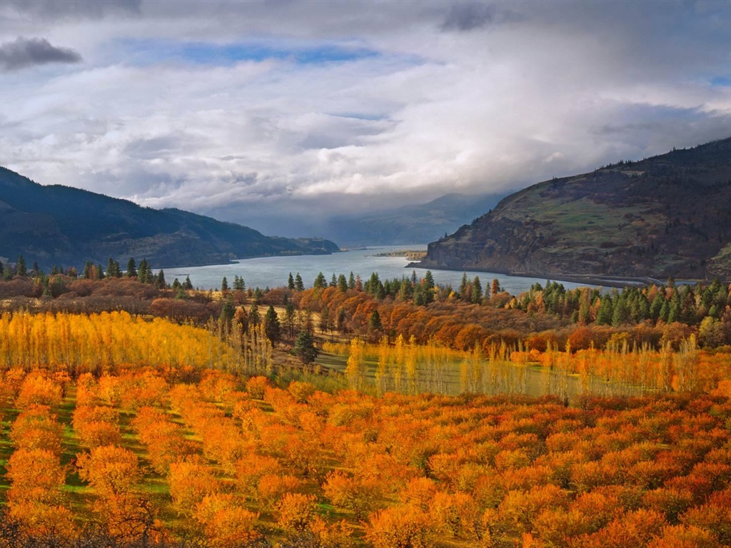 Octubre de 2016 Bing tema HD fondos de pantalla (1) #1 - 1024x768