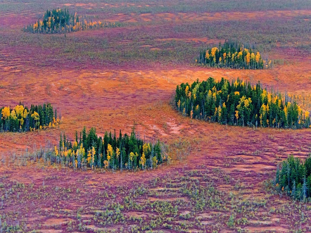 Octobre 2016 Bing thème HD fonds d'écran (1) #11 - 1024x768