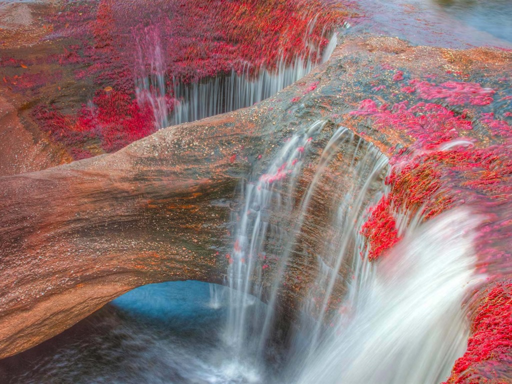 October 2016 Bing theme HD wallpapers (1) #19 - 1024x768