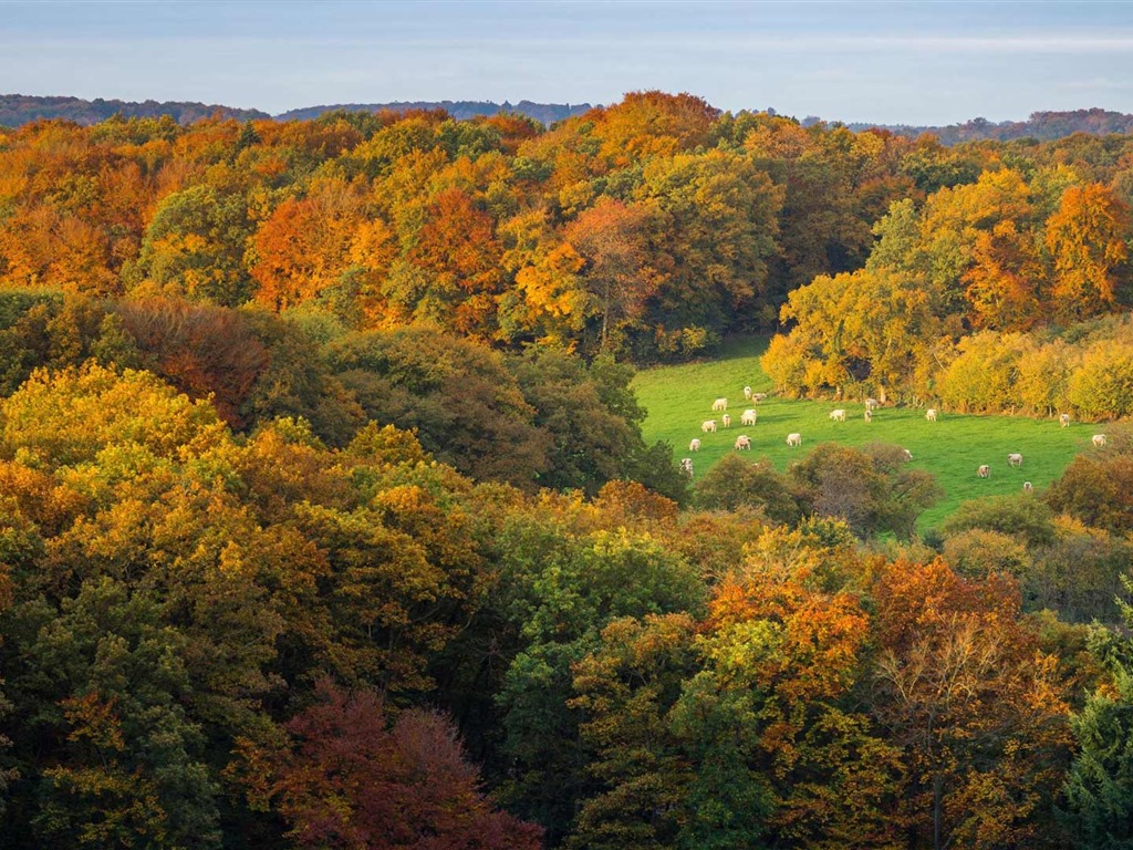 Oktober 2016 Bing Thema HD Hintergrundbilder (1) #35 - 1024x768