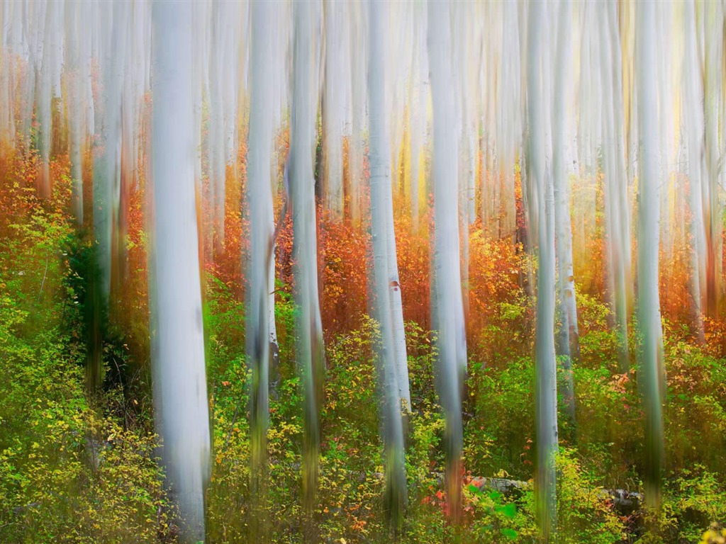 Oktober 2016 Bing Thema HD Hintergrundbilder (2) #11 - 1024x768