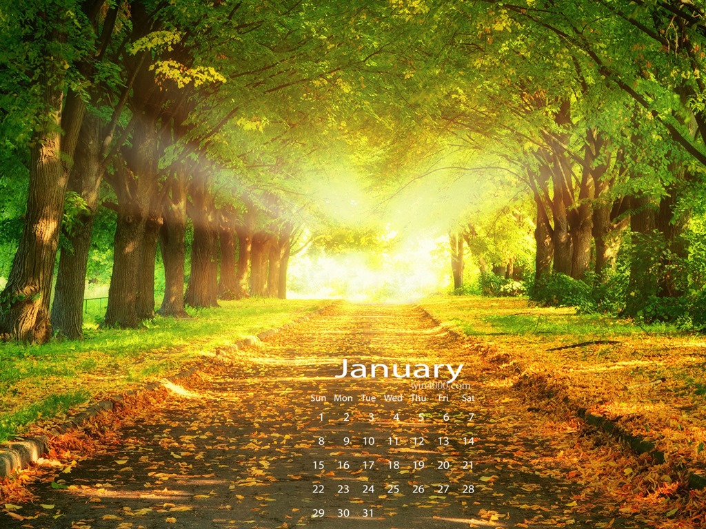 January 2017 calendar wallpaper (1) #2 - 1024x768