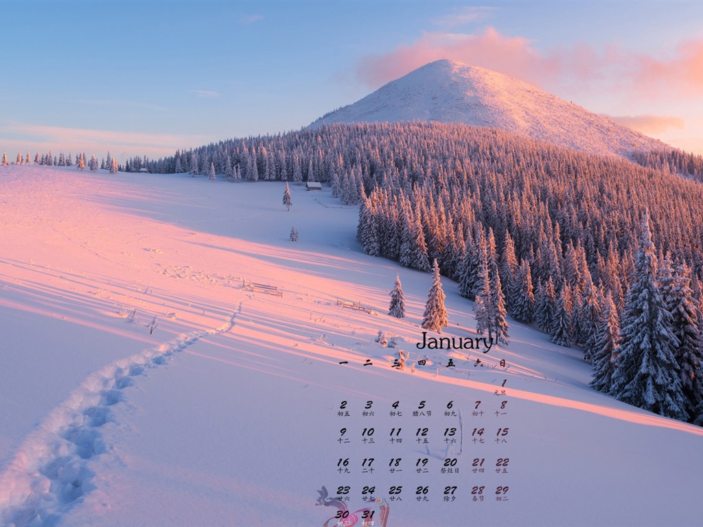 January 2017 calendar wallpaper (1) #7 - 1024x768