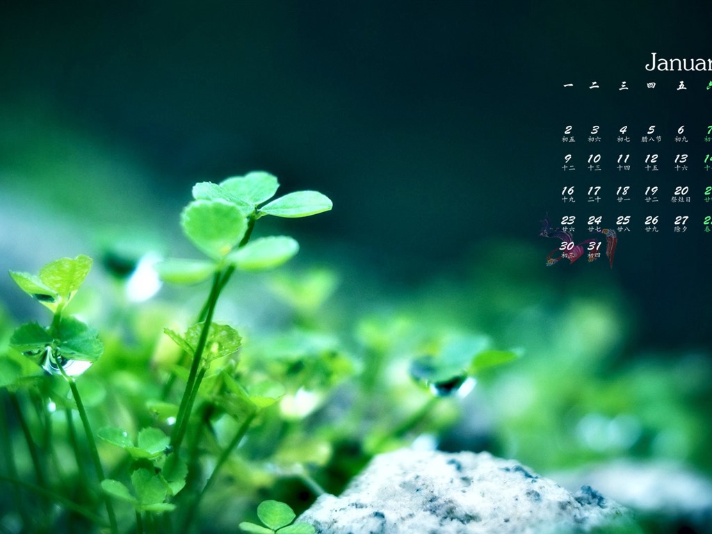 January 2017 calendar wallpaper (1) #10 - 1024x768