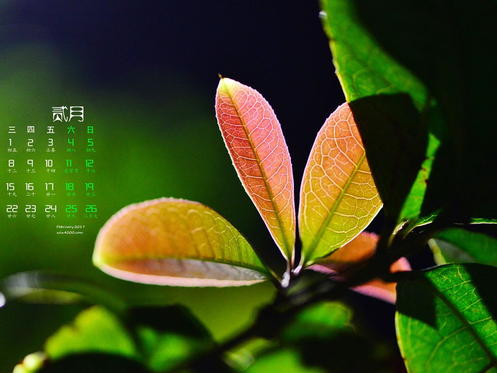 February 2017 calendar wallpaper (1) #4 - 1024x768