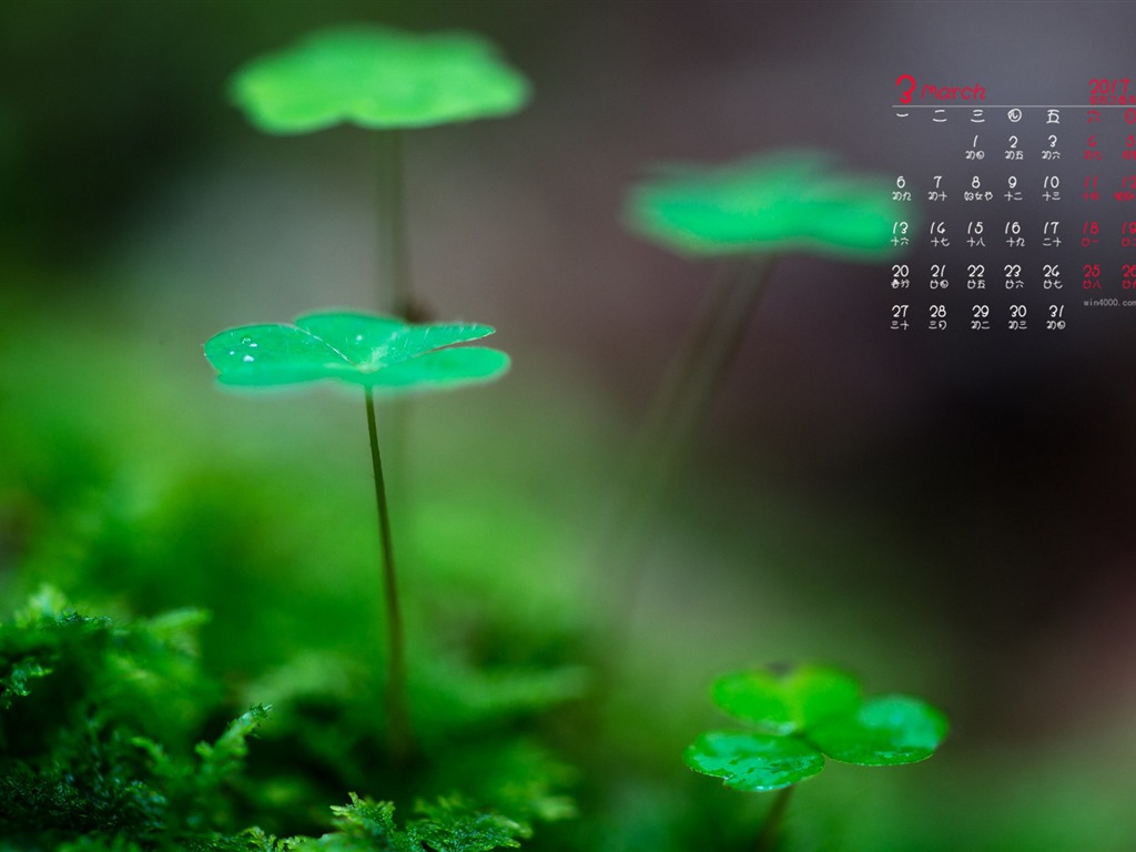 Fondo de pantalla del calendario de marzo de 2017 (1) #5 - 1024x768