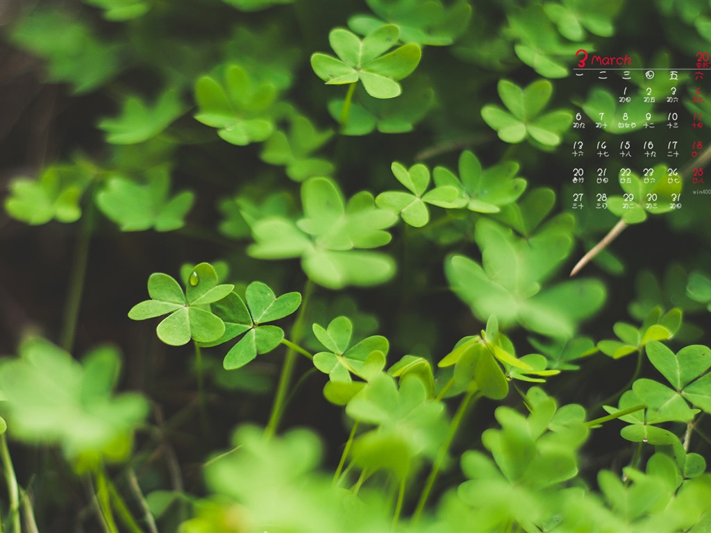 March 2017 calendar wallpaper (1) #6 - 1024x768