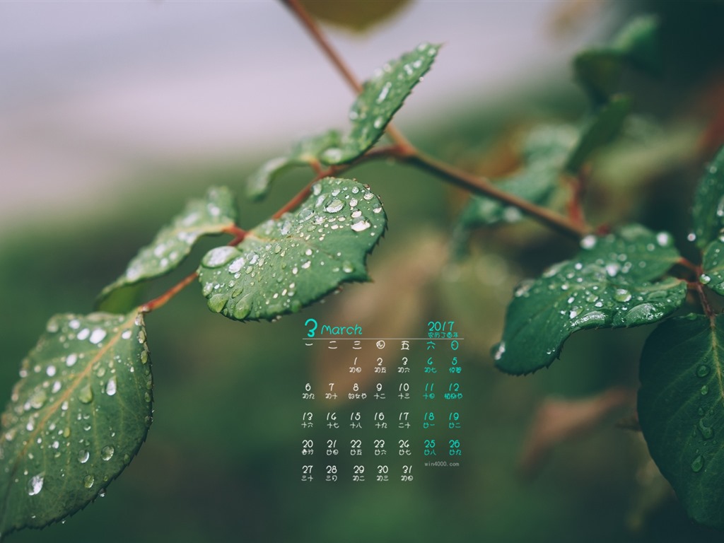 Fondo de pantalla del calendario de marzo de 2017 (1) #7 - 1024x768