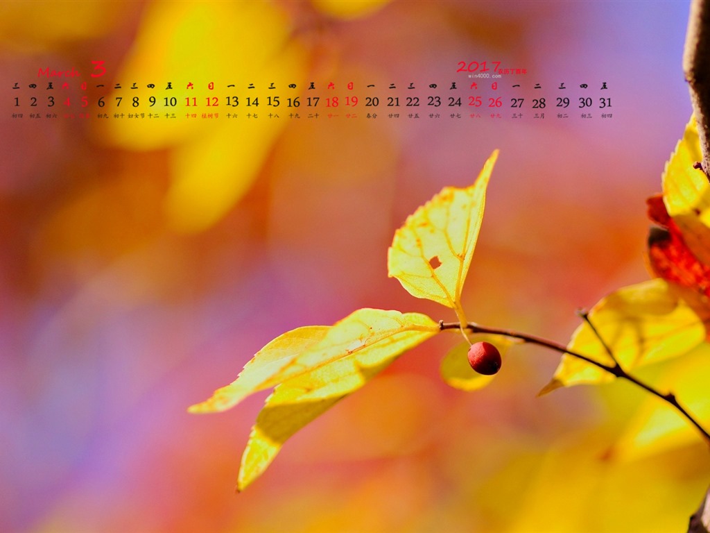 Fondo de pantalla del calendario de marzo de 2017 (1) #8 - 1024x768