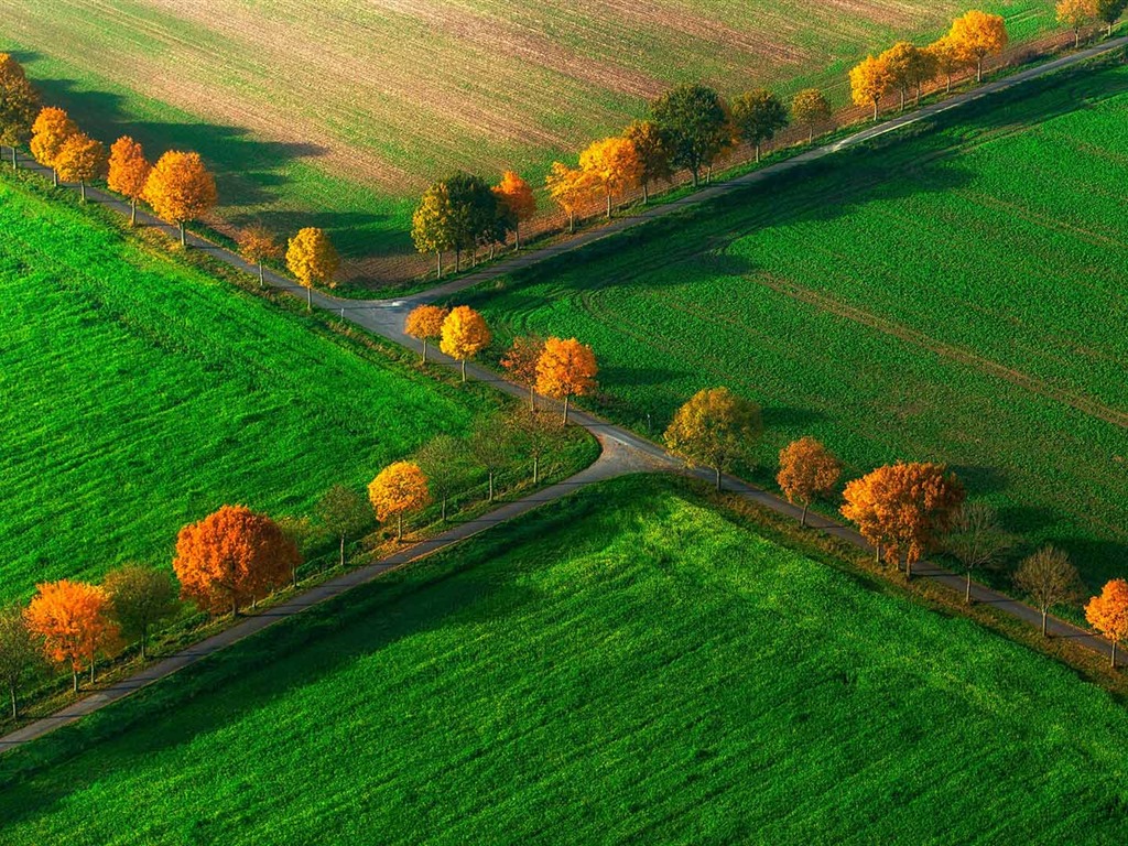 Noviembre de 2016 Bing tema HD fondos de pantalla (1) #12 - 1024x768