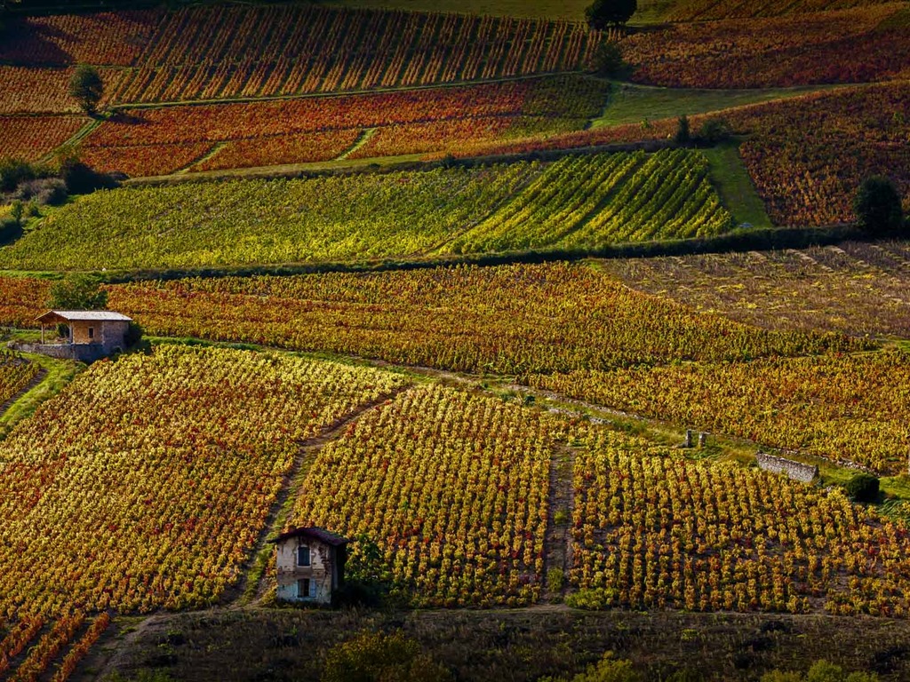 Novembre 2016 Bing thème HD fonds d'écran (1) #36 - 1024x768