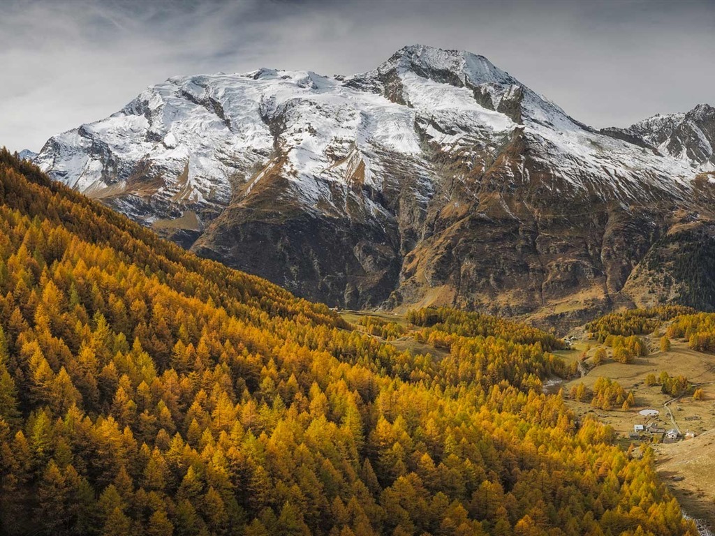 Novembre 2016 Bing thème HD fonds d'écran (2) #25 - 1024x768