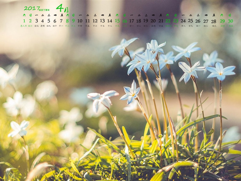 April 2017 Kalender Tapete (1) #5 - 1024x768