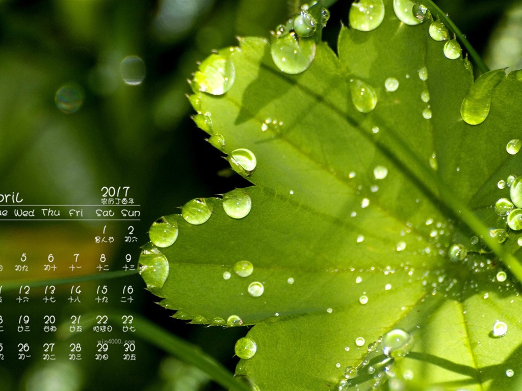 Fondo de pantalla calendario abril 2017 (1) #8 - 1024x768