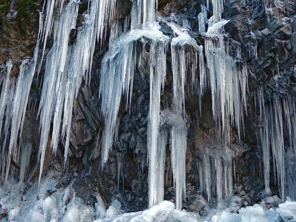 Décembre 2016 Fonds d'écran HD de thème Bing (1) #29 - 1024x768