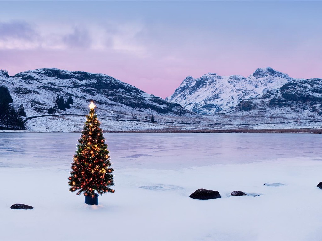 Diciembre 2016 Bing tema HD fondos de pantalla (2) #9 - 1024x768