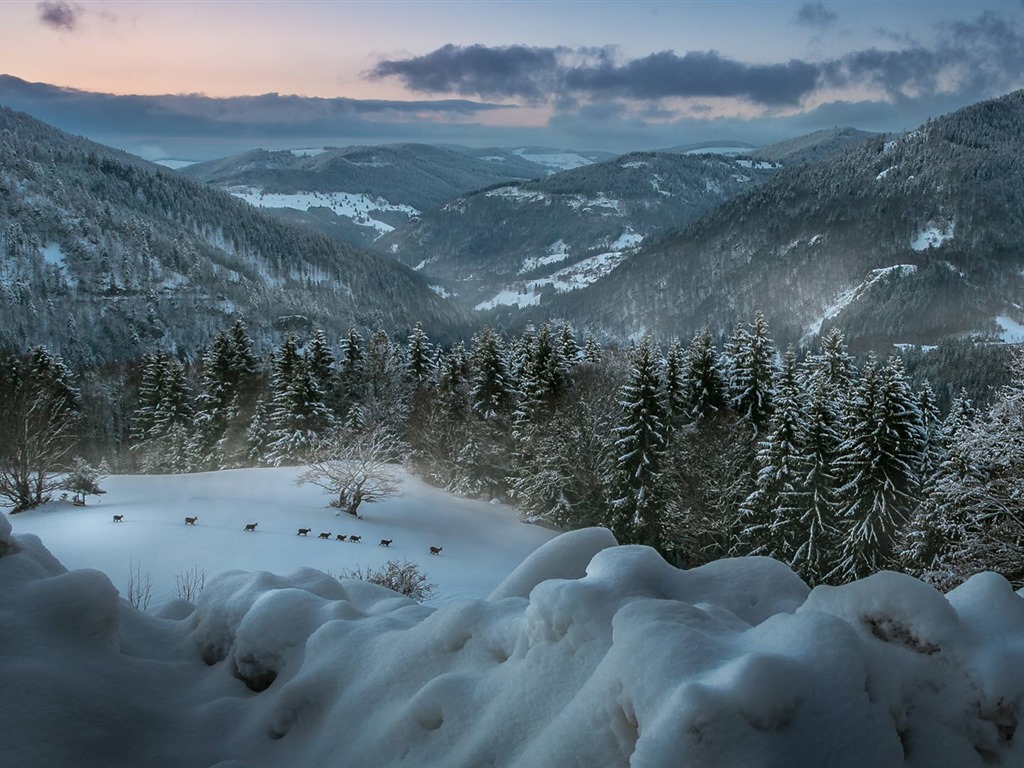 Décembre 2016 Fonds d'écran HD de thème Bing (2) #30 - 1024x768