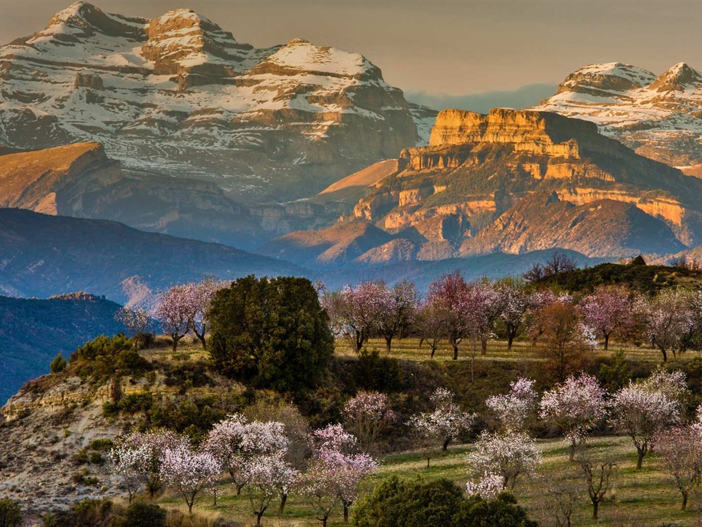 Marzo 2017 Bing tema de la alta definición de fondo de pantalla (2) #16 - 1024x768