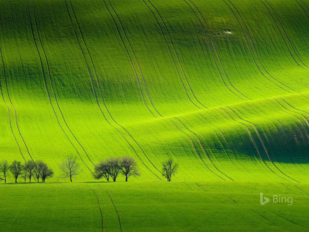 Avril 2017 thème Bing du fond d'écran haute définition #22 - 1024x768