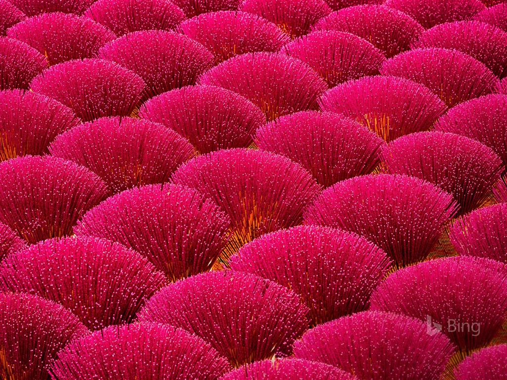 Mayo de 2017 Tema de Bing de fondo de pantalla de alta definición #16 - 1024x768